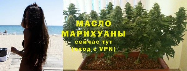 ECSTASY Алзамай