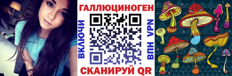 Псилоцибиновые грибы мицелий  где можно купить наркотик  Куртамыш 