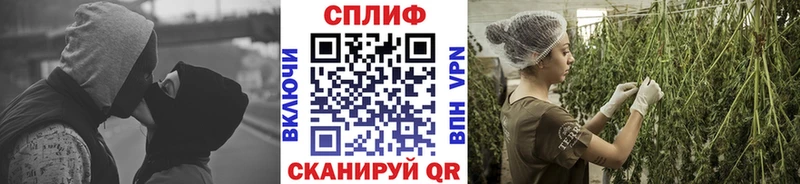 купить наркоту  Куртамыш  darknet состав  Канабис THC 21%  omg зеркало 